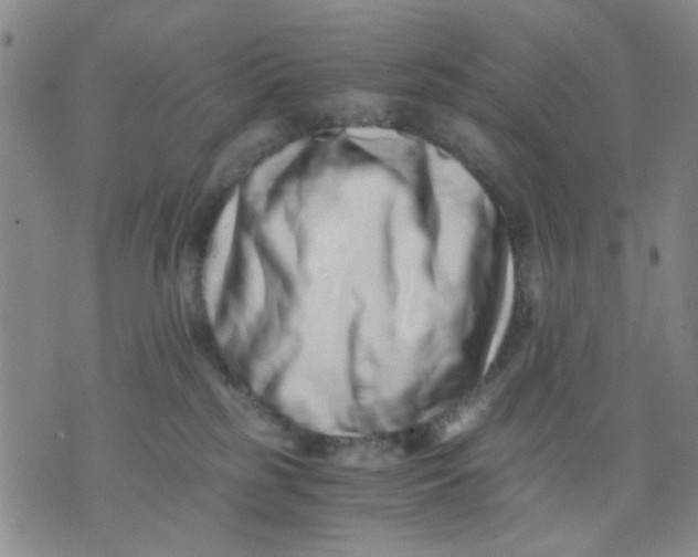 X0000076050185200610152146