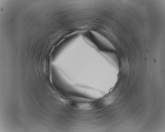 X0000076050189200610152147