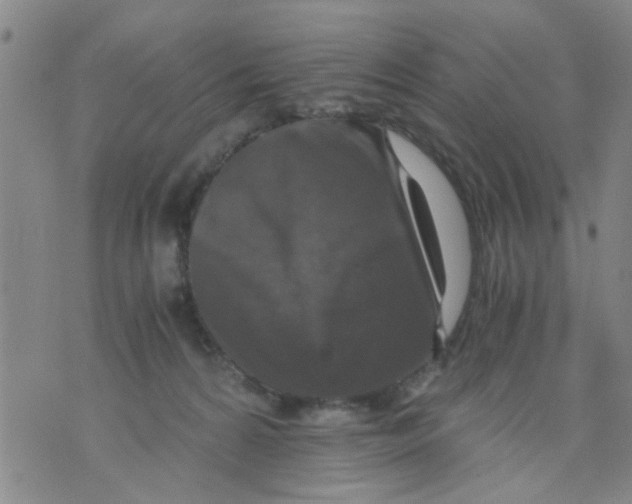 X0000076050224200610152145