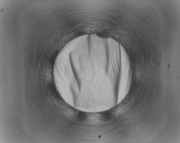 X0000076050226200610152145