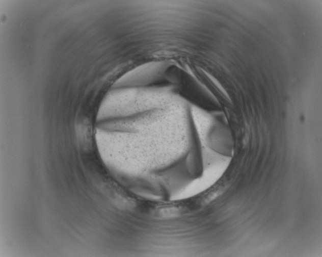 X0000076050228200610152145