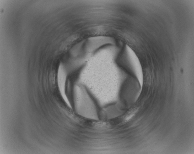 X0000076050230200610152145