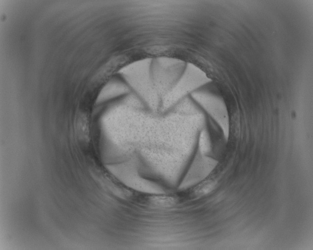 X0000076050234200610152145