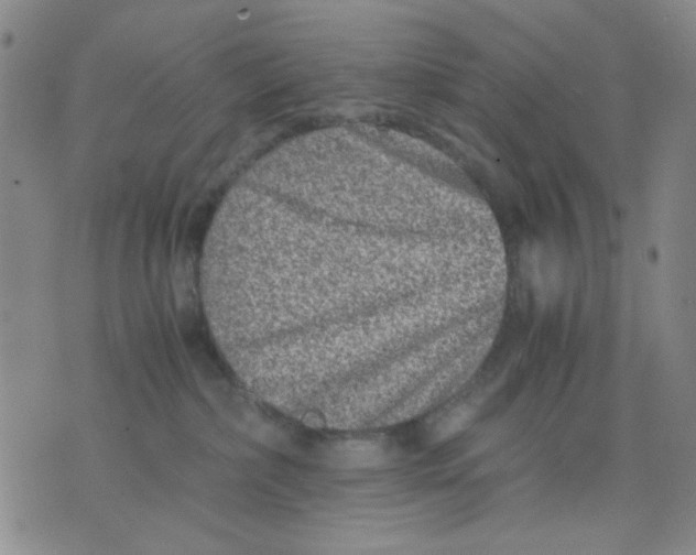 X0000076050236200610152145