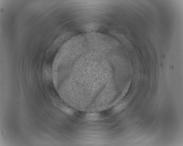 X0000076050240200610152145