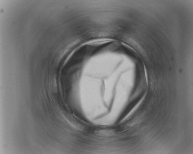 X0000076050251200610152144