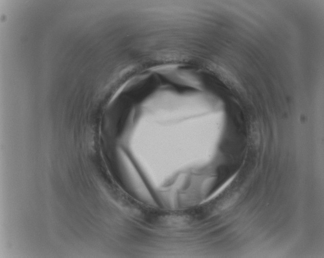 X0000076050255200610152144