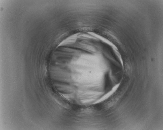 X0000076050259200610152145