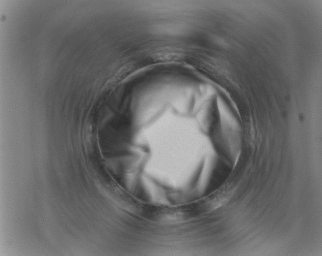 X0000076050263200610152145