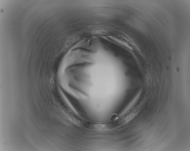 X0000076050265200610152145
