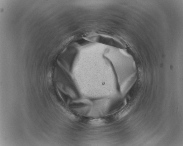 X0000076050269200610152145