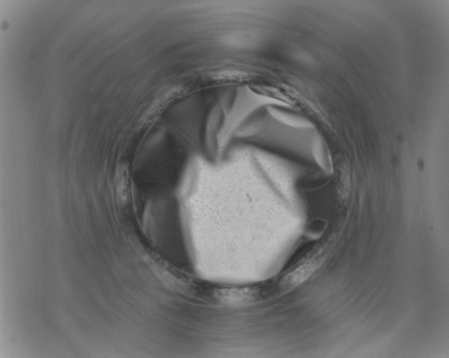X0000076050273200610152145