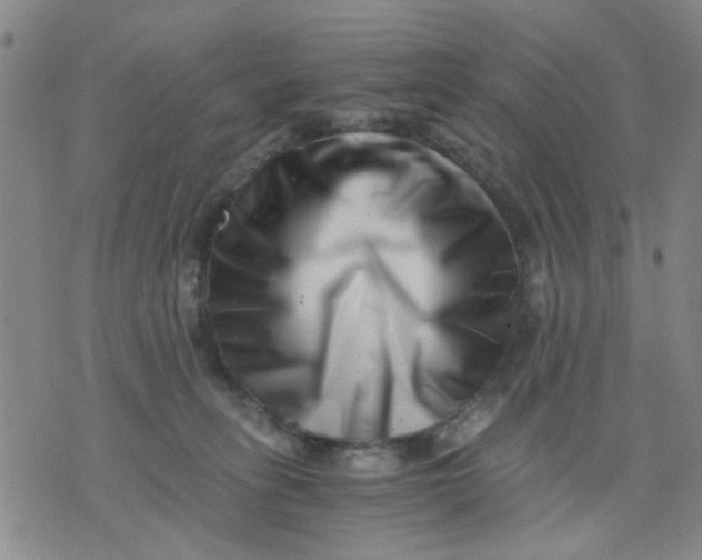 X0000076050275200610152145