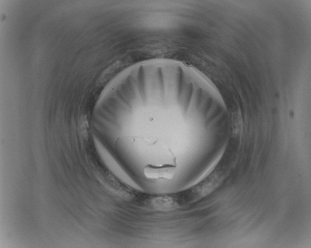 X0000076050279200610152145