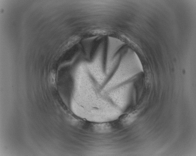 X0000076050281200610152145