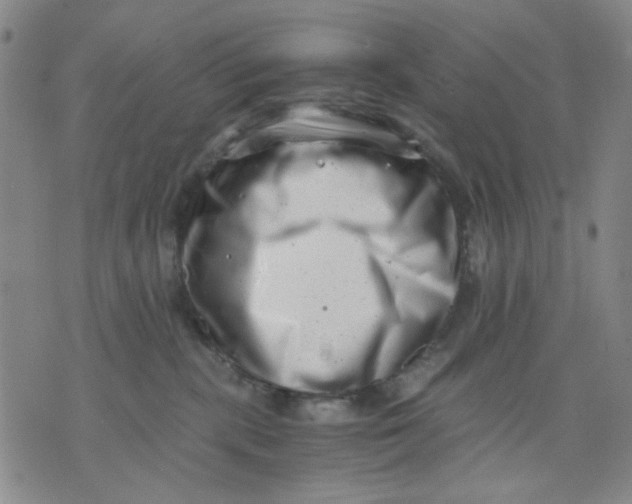 X0000076050283200610152145