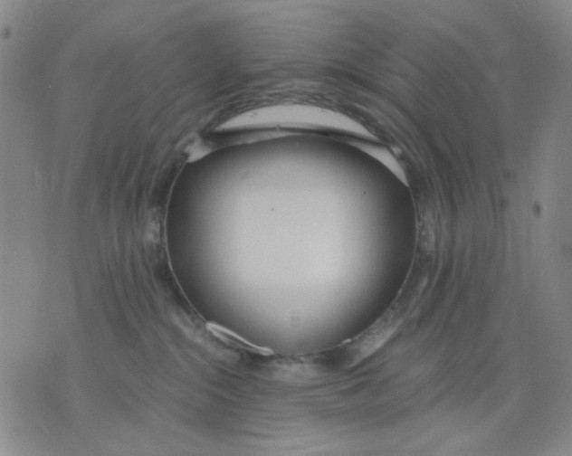 X0000076050284200610152145