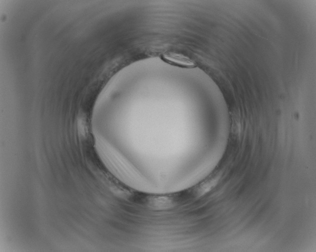 X0000076050287200610152145