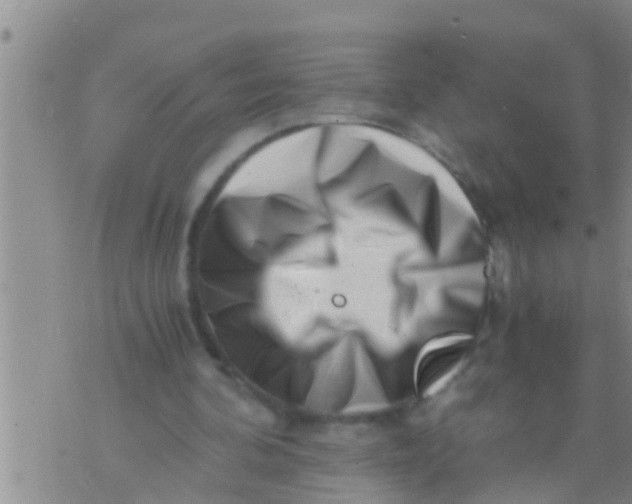 X0000076050292200610152144