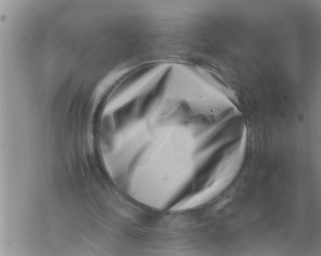 X0000076050294200610152144