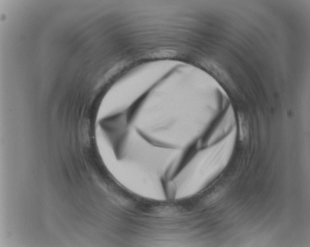 X0000076050300200610152144