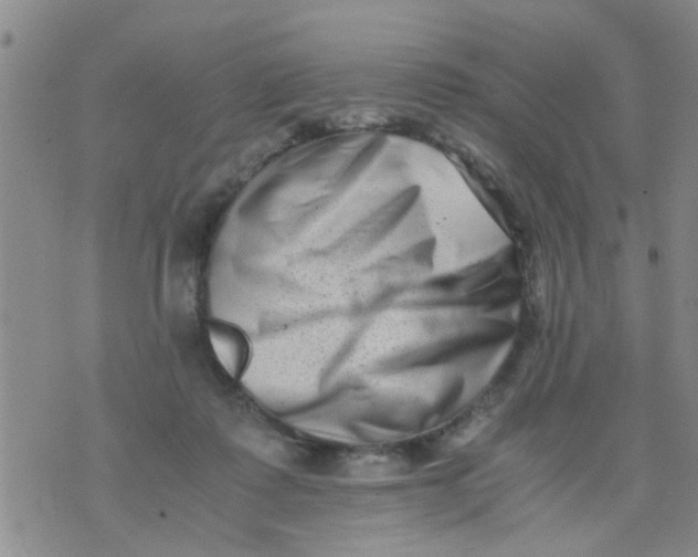 X0000076050315200610152144