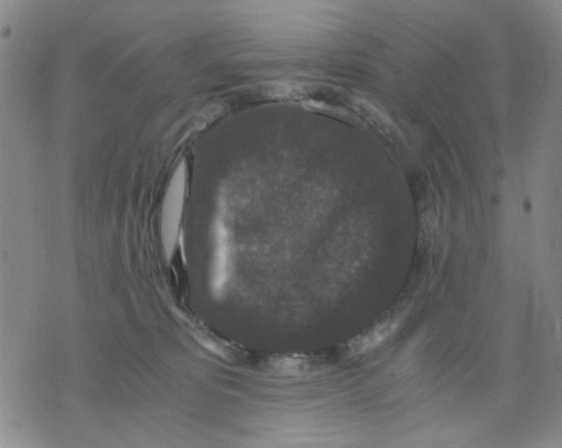 X0000076050325200610152144