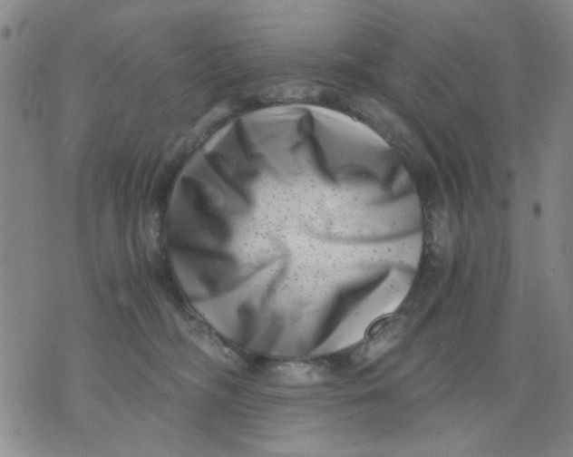 X0000076050326200610152144