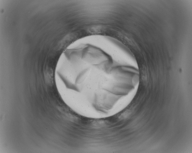 X0000076050332200610152144