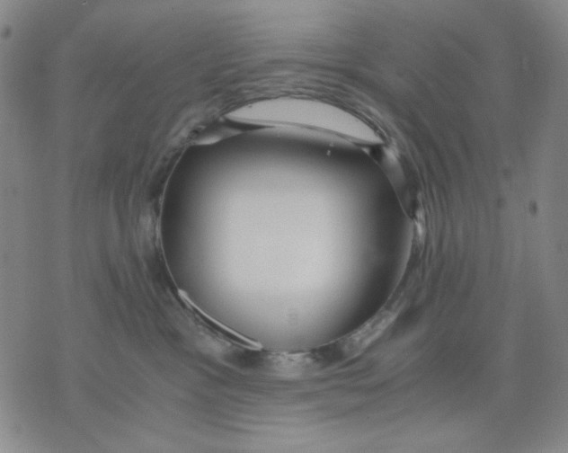 X0000076050333200610152144