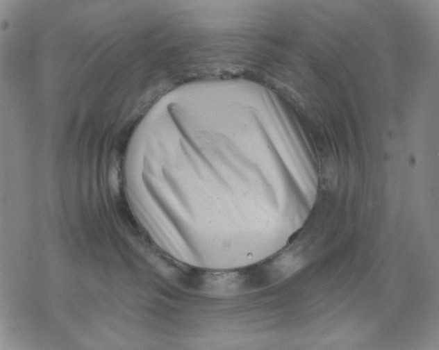 X0000076050334200610152144