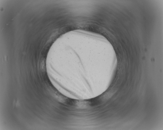 X0000076050336200610152143
