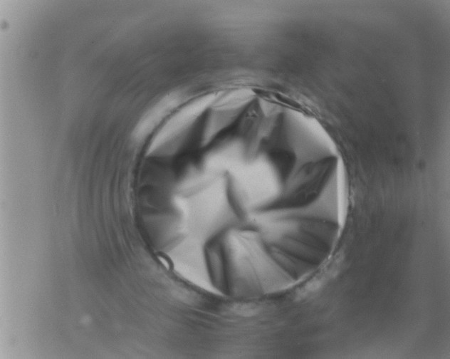 X0000076050341200610152143