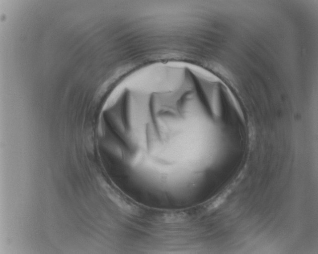 X0000076050345200610152143