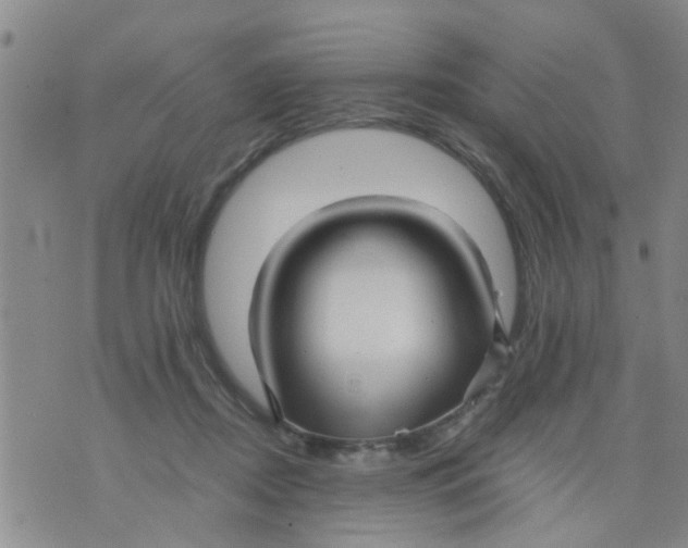 X0000076050362200610152143