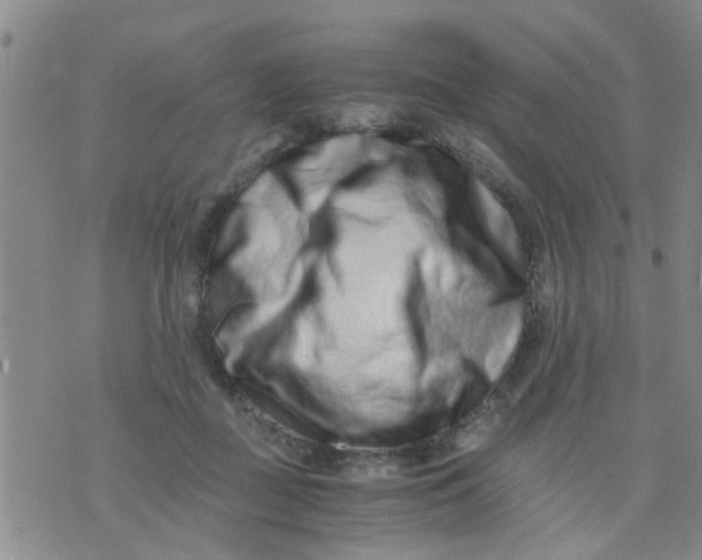 X0000076050363200610152143