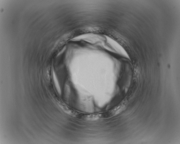 X0000076050373200610152143