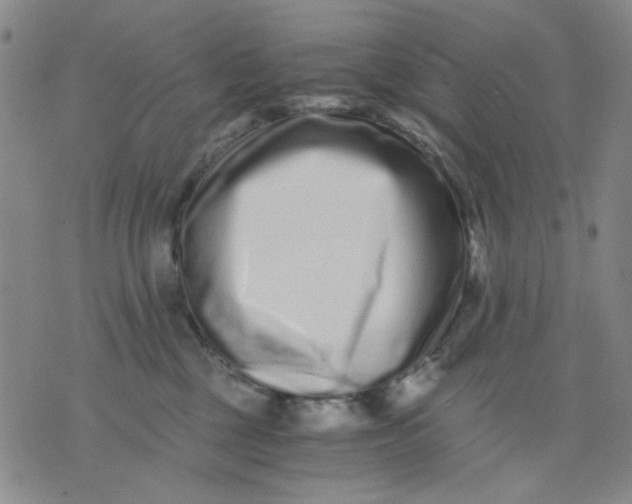 X0000076050377200610152143