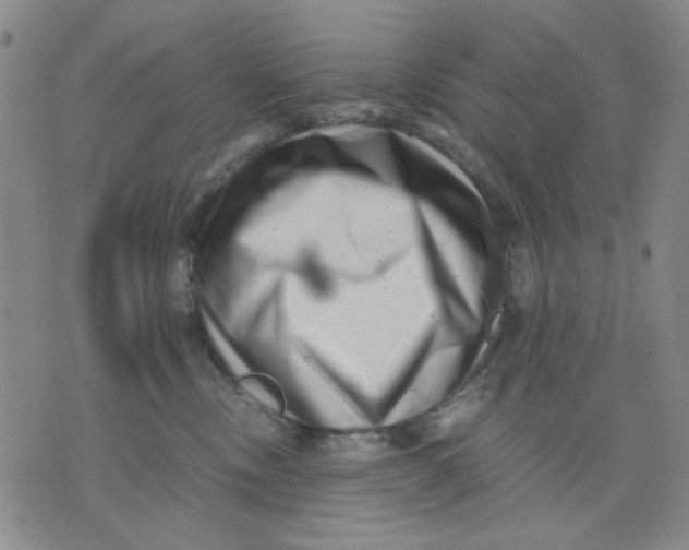 X0000076050378200610152143