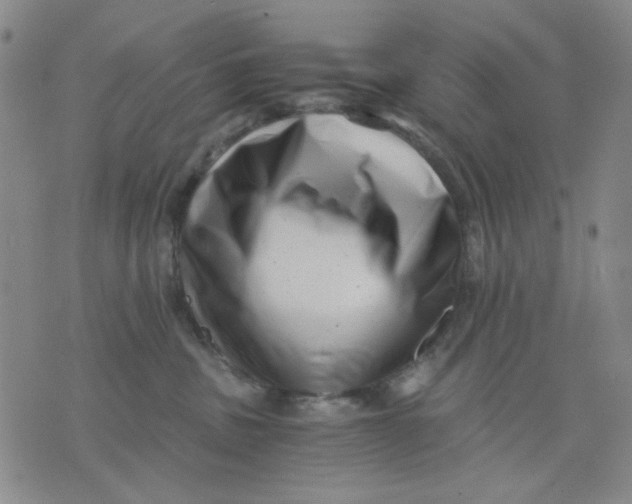 X0000076050379200610152143