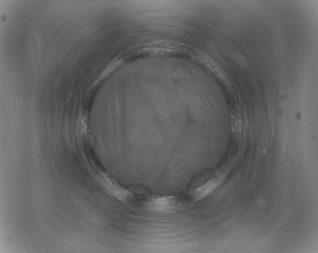 X0000076050382200610152143