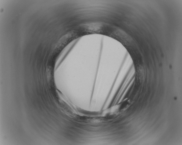 X0000076050412200610152142