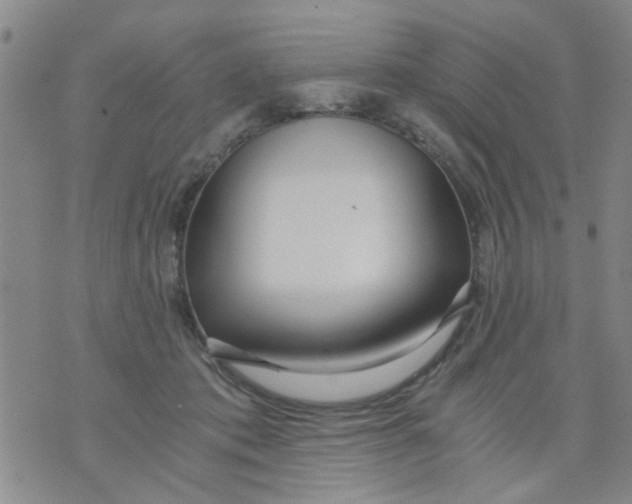 X0000076050413200610152142