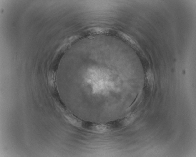 X0000076050423200610152142