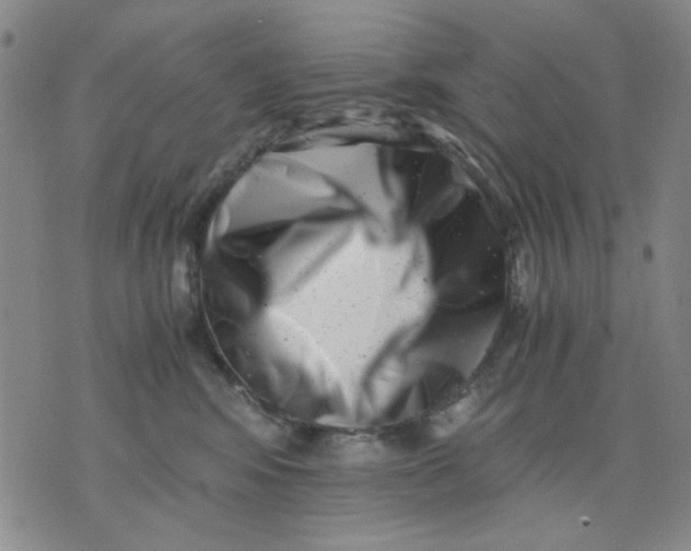 X0000076050424200610152142