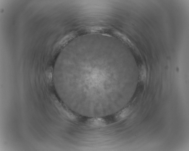 X0000076050427200610152142