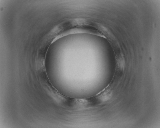 X0000076050429200610152142