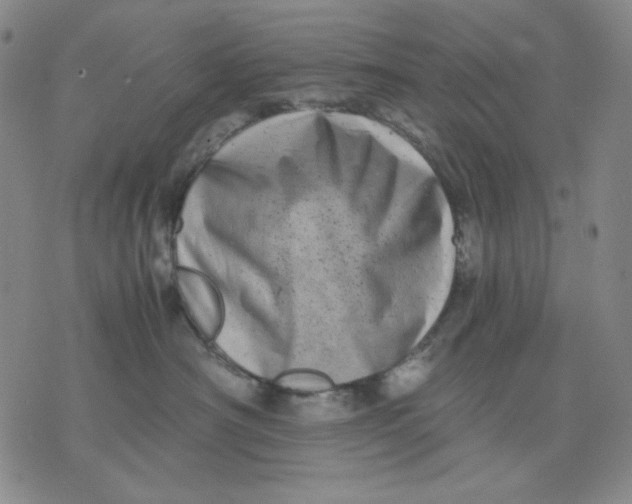 X0000076050430200610152142
