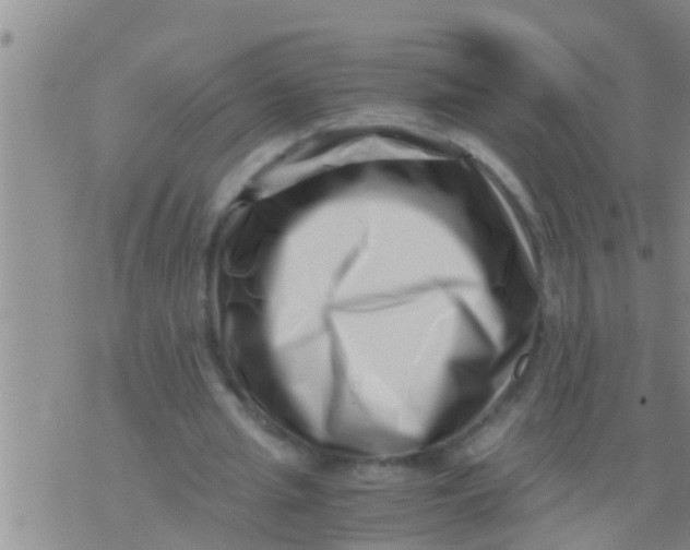 X0000076050437200610152141