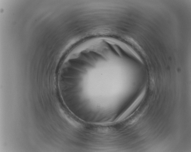 X0000076050439200610152141